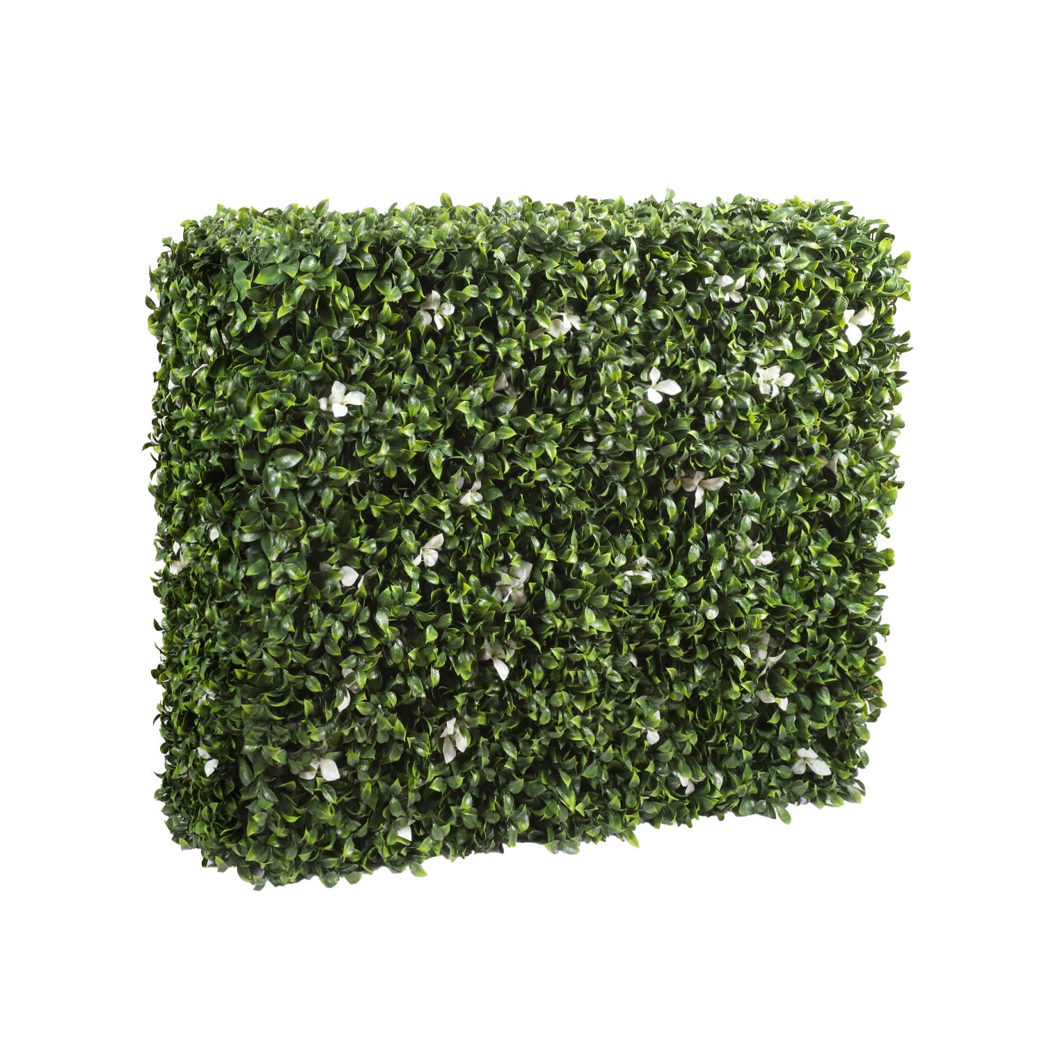 Hedge Wall